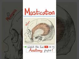 Muscles of Mastication - Anatomy of Head & Neck...#doctor #nurse  #anatomy #physiology #biology
