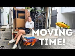 Fish Room PACKING & PREP - Moving to a New Home!