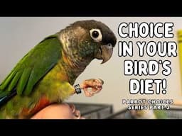 Bird Food Choices - Colour & Variety For Your Parrot's Diet | TheParrotTeacher