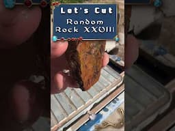 What’s Hiding Inside This Rock? Cutting Open Random Rock 28