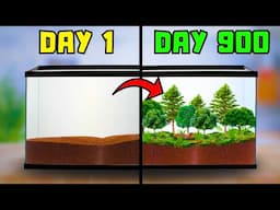 I Let Nature Take Over For 900 Days...