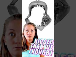 Megalodon Was WAY Bigger Than We Thought! #shorts