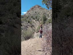 Eight Mile Mesa