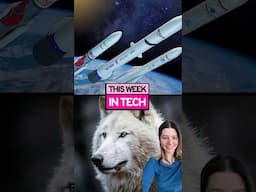 This Week In Tech!