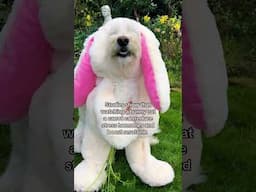 Send this to somebunny you love 🐰🩵