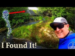 A Sketchy Creek Hike to a Hidden Lake (Father's Day Special: Proceeds Go To Cancer Research!)