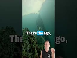 Ditch the Ego, Embrace Stillness