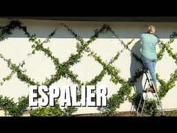 The Espalier is Done! 🙌🏼 Training the Espalier, Removing Ugly Plants and Transplanting Mondo Grass!