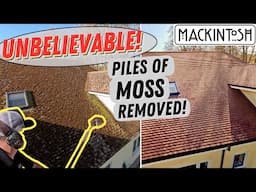 Unbelievable Mossy Roof Cleaning Transformation!