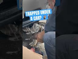 You won’t believe what he found under this car… 🦉