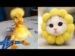 Funniest Animals 2025 😂 Best Funny Cats and Dogs 😻🐶 Part 17 | Cute Baby Dogs