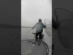 WHAT!? Catching a Musky in Super-Heavy Rain! #fishing #muskyfishing #musky #muskylures #muskie