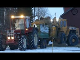 Volvo BM LM846 loading hay on a IH 955XL Tractor with trailer
