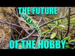 UPGRADING my Fijian Banded Iguana into the FUTURE of reptile husbandry!