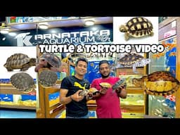 Turtles in India 2025 | Box Turtle  | Sulcata Tortoise | Red Foot Tortoise |Greek Tortoise| Snapping
