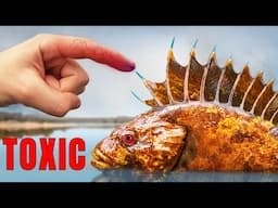STUNG by Toxic STONEFISH and Other Venomous Creatures!