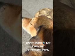 Celebrate Earth Day everyday. 🌎 #earthday #animallove