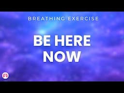 Stop. Breathe. Feel