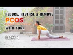 YOGA for PCOS Class 4: Reduce & Reverse PCOS Symptoms