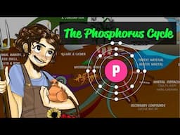 The Phosphorus Cycle | Regenerative Soil