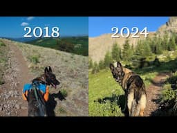 Why I NEVER Make My Dog Carry a Backpack While Hiking Anymore