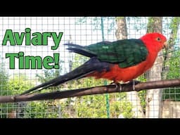 Beautiful Day For the Parrots to go Outside