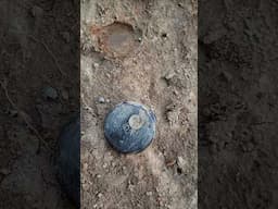 METAL DETECTING SEALED CONTAINER WITH OLD COINS RIGHT BESIDE IT!