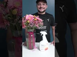 Finishing Touch Renovado #flores #floreria #diseñofloral #oasisfloral #floralife