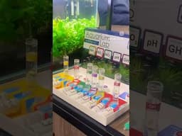 Test your water if you are spending your #sunday doing some #aquariummaintenance 😁 #ntlabs