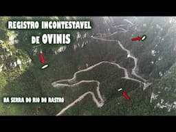 DRONE registra 3 OVINIS sem QUERER na SERRA
