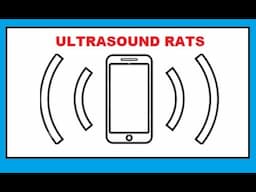 Get Rid of Mice Fast! Powerful Ultrasonic Sound That Works!