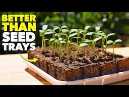 Why Smart Gardeners Use These Weird Cubes to Grow Seedlings