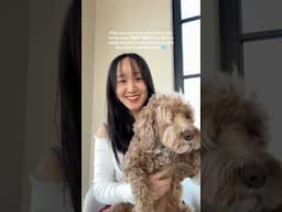 learning the lyrics asap 💗🤭#thefirstfrost #cdrama #silencewang #baijingting #zhangruonan #mandarin