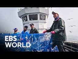 Empty Nets Devastated Crew Captain's Last Attempt For A Massive Fish Haul #PICKDOCU