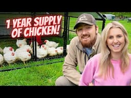 How We Stopped Buying Chicken From The Grocery Stores (Young Homesteading Family)