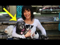 Shelter Worker Spots A Problem With All The Older Dogs Before Coming Up With A Genius Solution