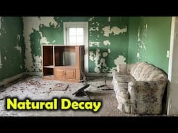 Abandoned House with Beautiful Decaying Walls