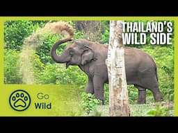 The Matching Game | Thailand’s Wild Side 2/2 | Go Wild