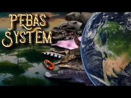 🇨🇴🇵🇪Rise and Fall of PEBAS system