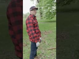 #MaxVerstappen in Montreal 😂👏 #F1 #RedBullRacing