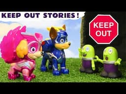 Why are the Paw Patrol pups not allowed in the Tunnel?