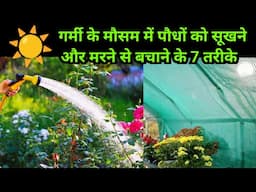 गर्मियों में भी हरा भरा रहेगा गार्डन, ये 7 काम अभी कीजिये | How To Protect Plants In Summer