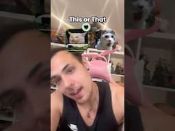ELIGE TÚ GATO FAVORITO