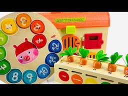 BEST Educational Toy Learning Video! Kids Learn Shapes, Colors & Numbers! Toddlers Learn to Count