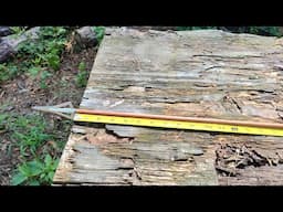 Draw Length , Draw Weight and Bow Length Matters!!