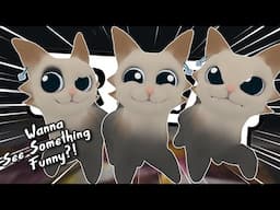 Car Dances For Everyone In VRChat! - VRChat Funny Moments (Garn47)