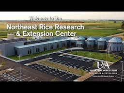 Northeast Rice Research and Extension Center - Video Tour