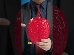 Break This Gummy Brain For $$$$