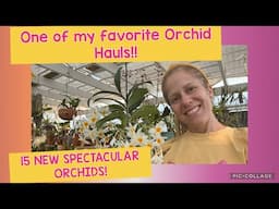 Most Spectacular Orchid Haul! Big Names! Hard to find! Must haves! + some BLOOMS!