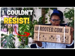 Mystery Plant Box Unboxing! Can You Guess What’s Inside?